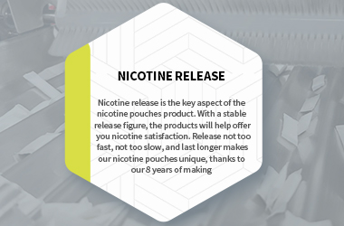 (S)-6-MethylNicotine,(S)-6-Methyl Nicotine Pouches,CASNO:13270-56-9,C11H16N2,White Private Label Pouches,Nicotine Products