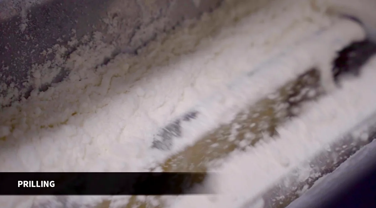Material in processing equipment at the stage labelled prilling